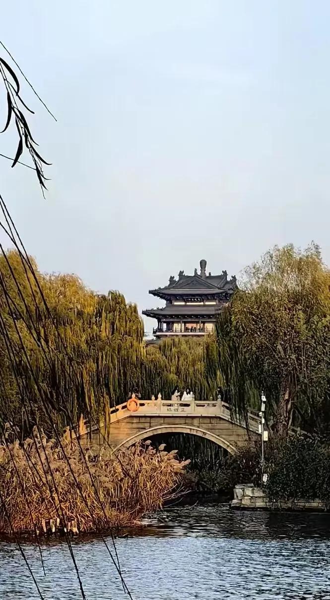 做人不能太清醒，会活得很累。
做人不能太糊涂，会让人玩弄你，把自己糟蹋得不成人样