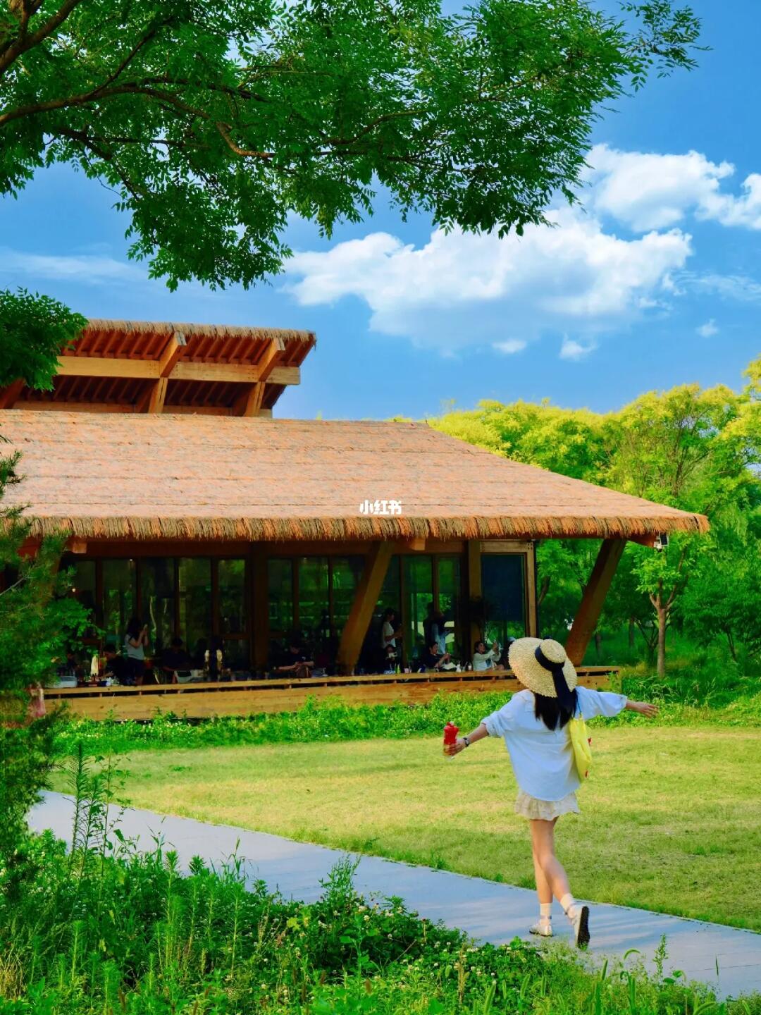 南城自己的世外桃源🌳📚爱上森林书屋…