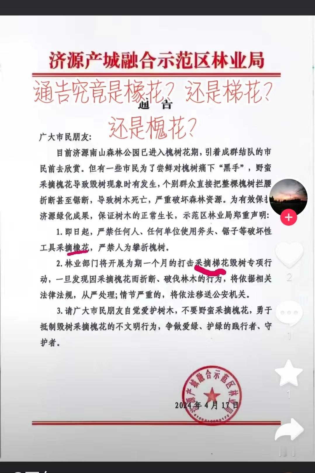 济源产城融合示范区林业局所发的关于禁止市民攀折槐花的通告中，一会儿槐花，一会儿橡