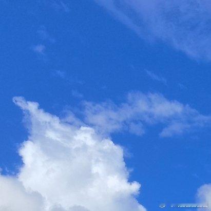 美丽中国支教项目男生可以去偏远一些地区支教，不建议女生去太偏远地区支教。 