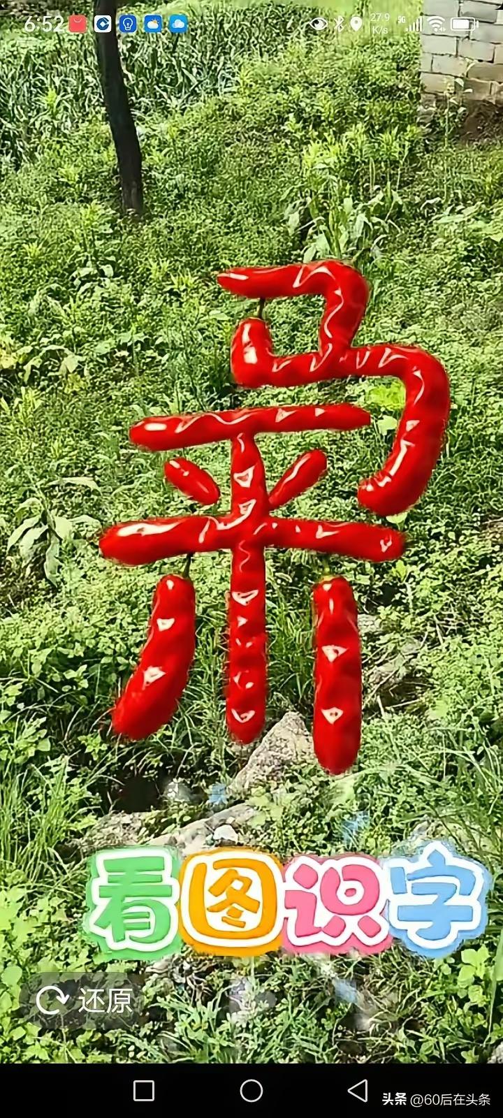什么成语？猜出来了吗？语文水平不高的，还真猜不出来。
动脑益智身体好，猜出成语乐