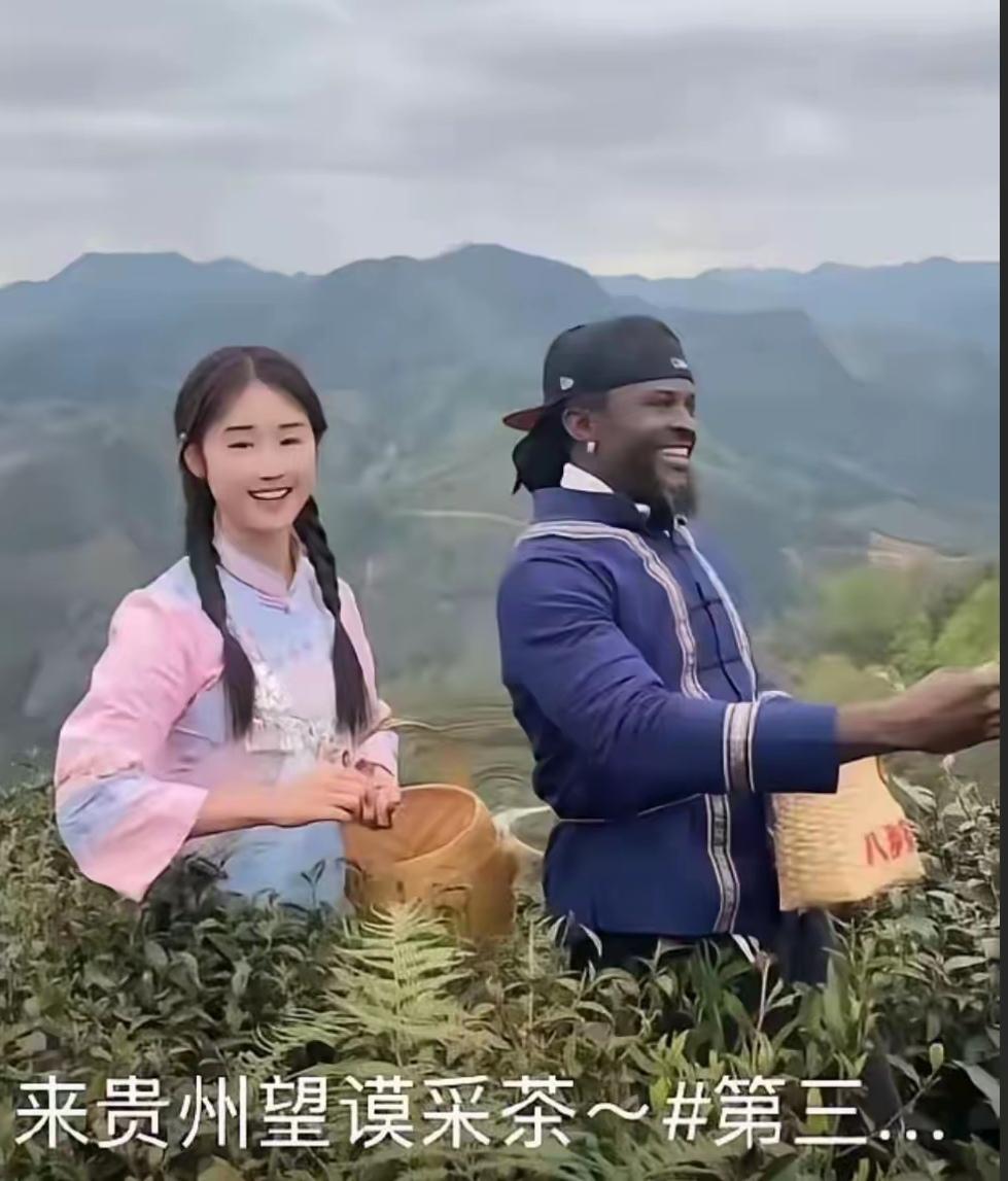 据说这是贵州的文旅广告，女孩和男子一起采茶。
看见广告后我马上检查一下自己的茶叶