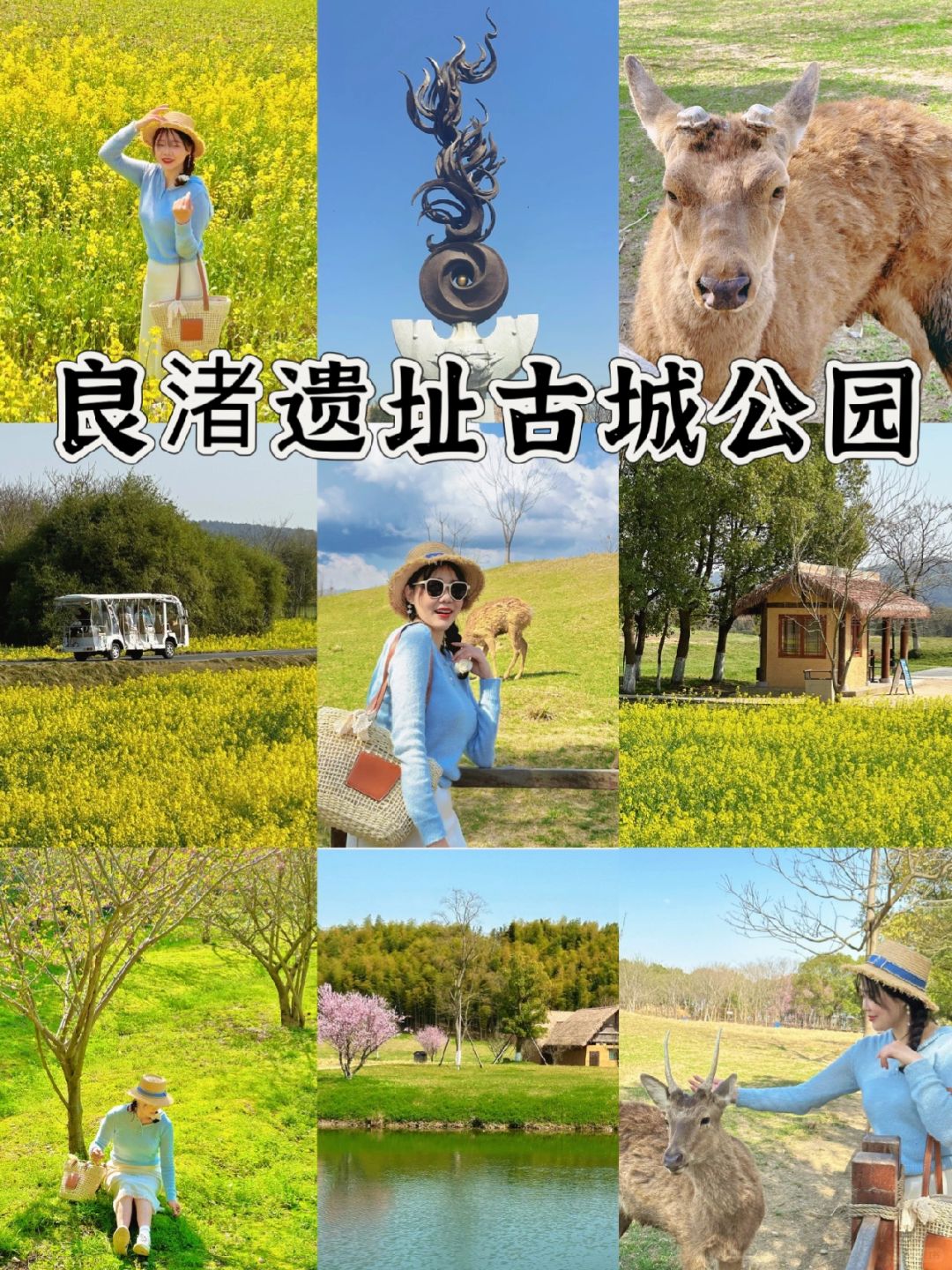 免门票‼️免门票‼️免门票‼️良渚古城免费去玩