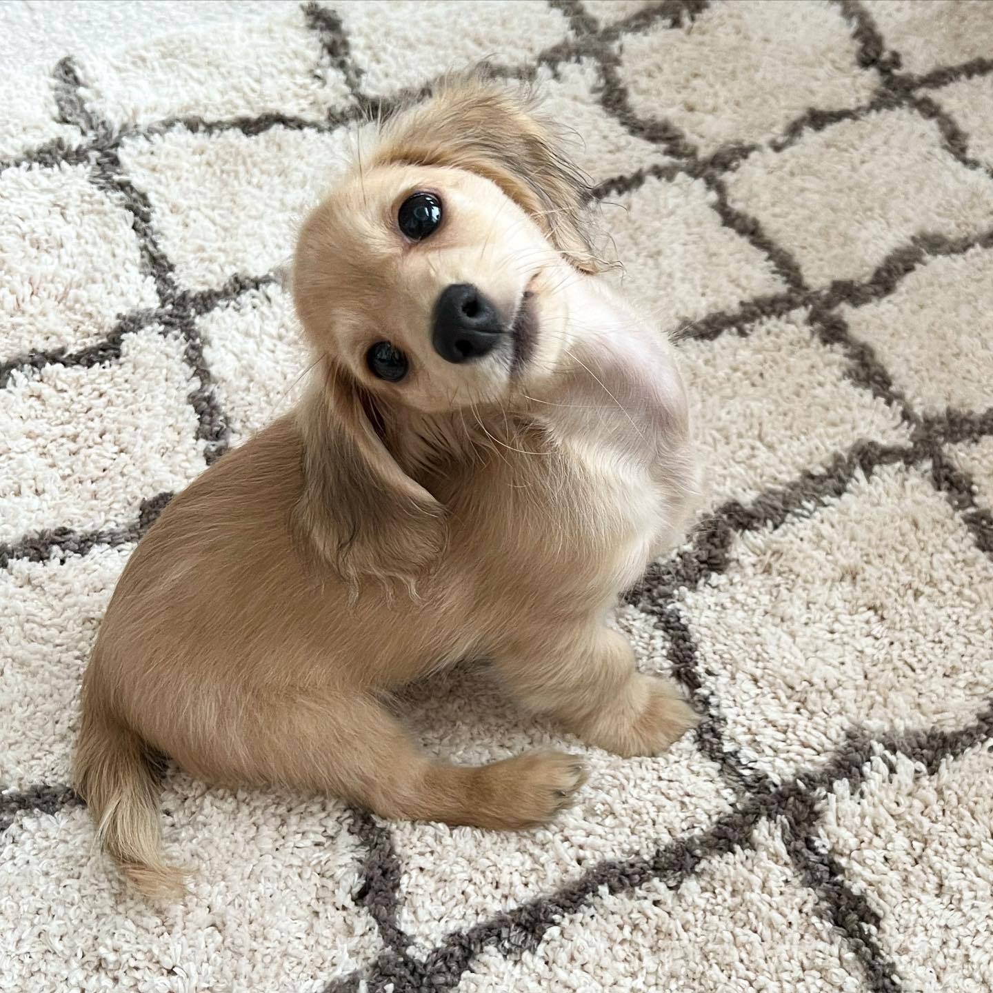 你刚刚喊了一声小可爱，是在叫我吗？ 