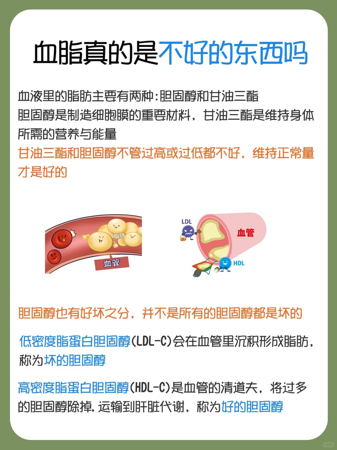 体检报告一片红‼️快进来看看