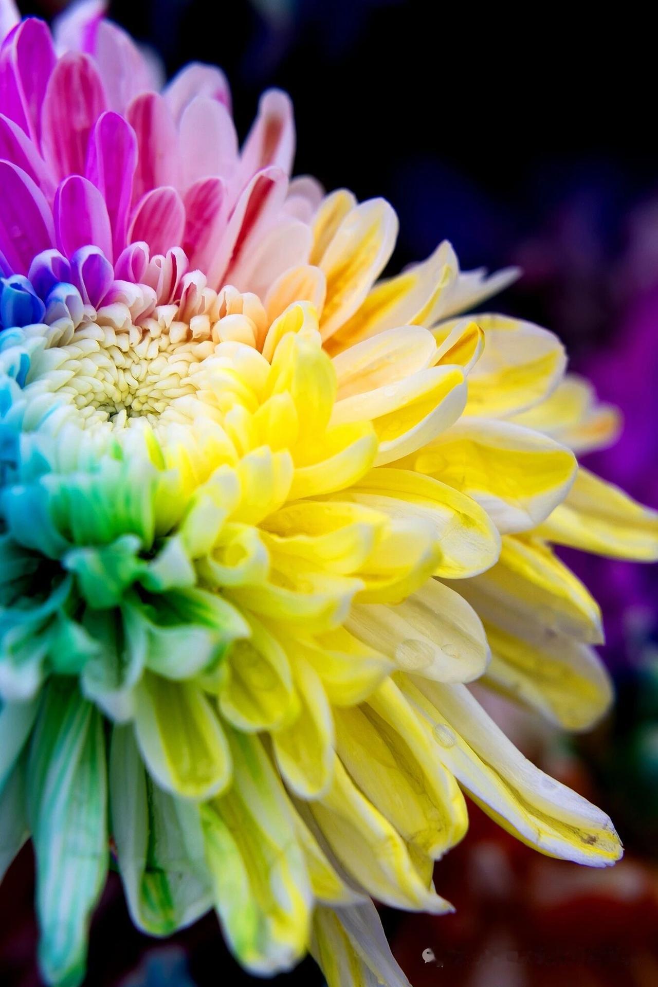 我们的家乡很普通，景点也不多，拿得出手的更不多更关键的是这些景点啊也就一两个小时