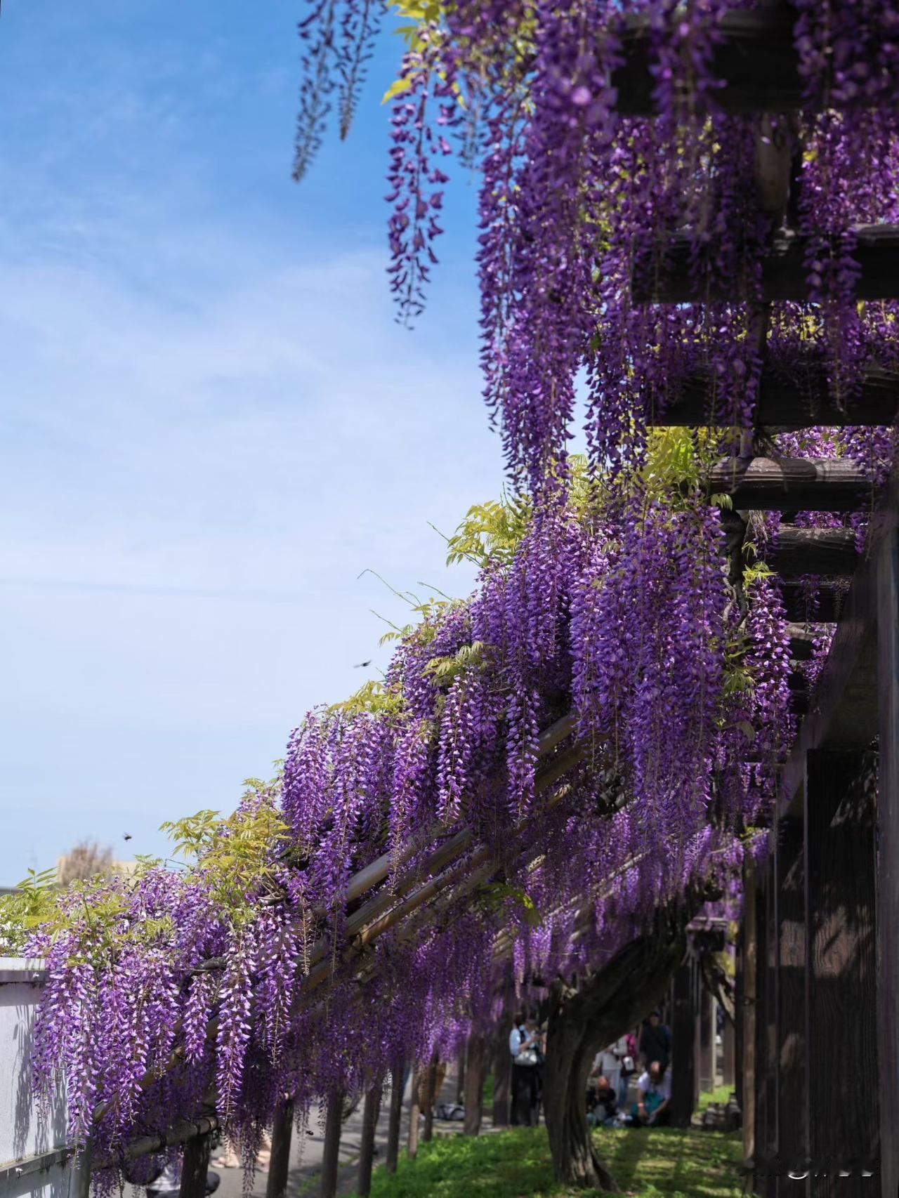 看了一个清朝人写的关于报恩的故事。就是有个女子救了一个男子的命。
这个男子家里正