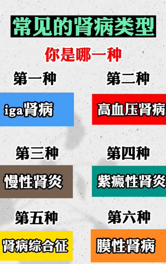 六种常见肾脏病症分类，简单科普区分