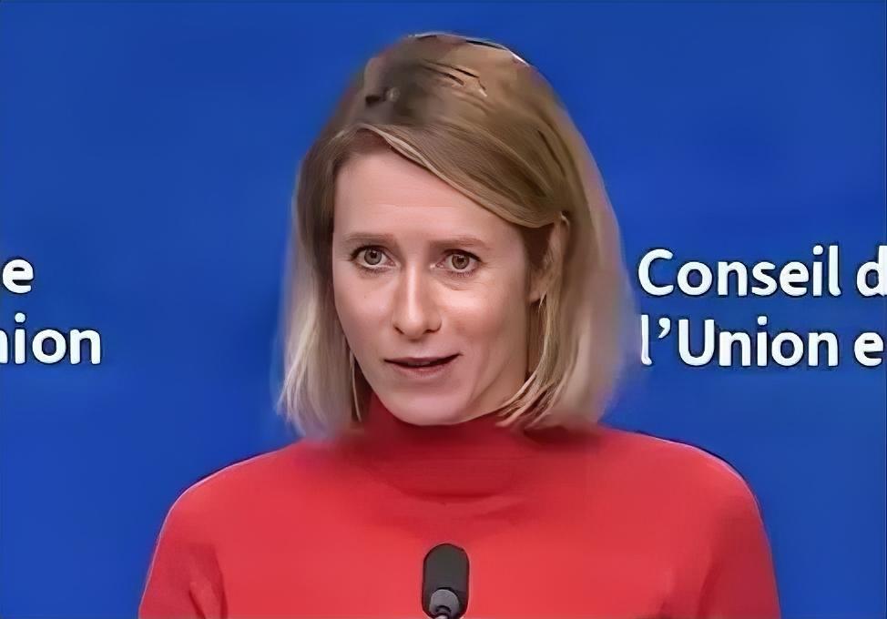 真的很棒！欧盟美女外长找到了变得“非常聪明”的方法！1月29日，当一位记者想送欧