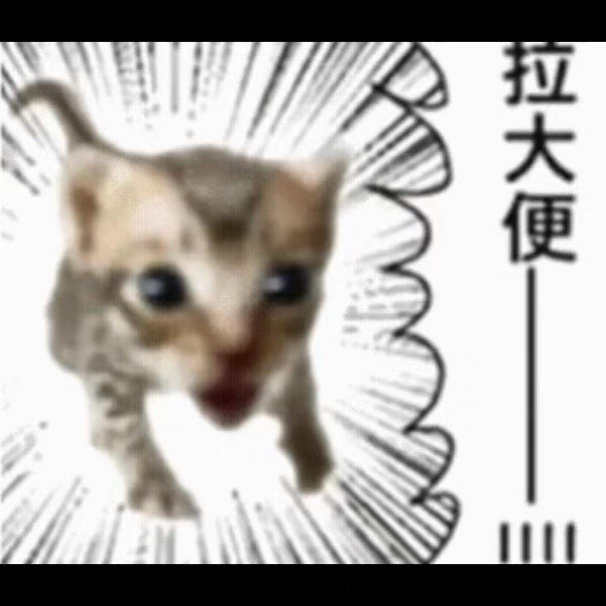 龙翔生成中 