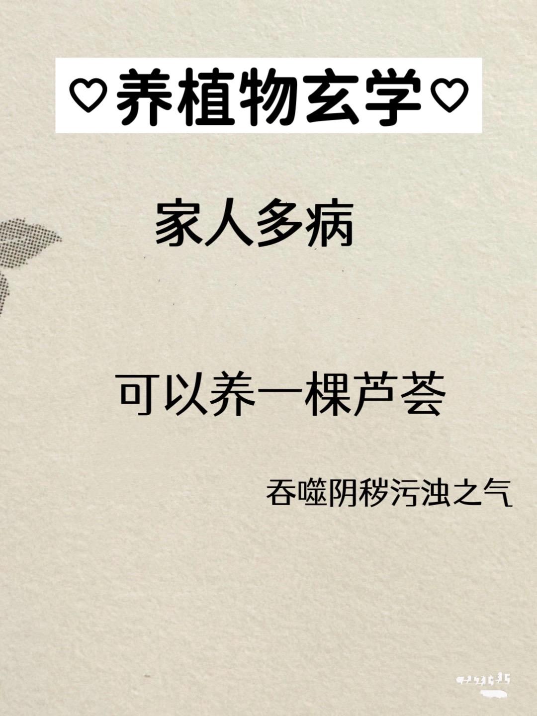 养植物就是养风水。养好芦荟