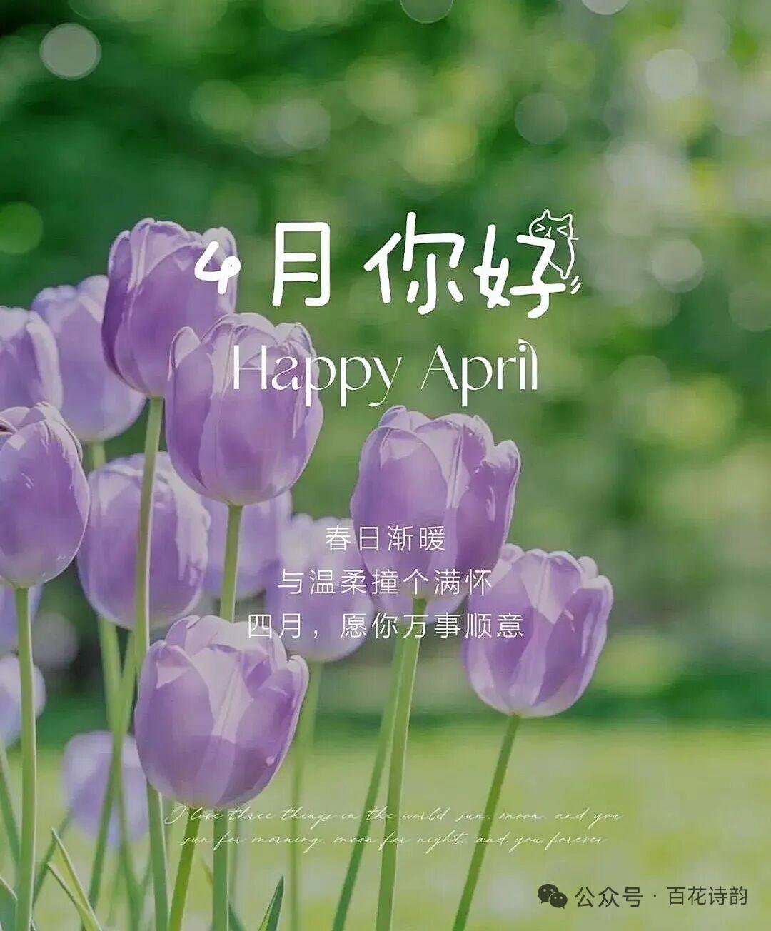 今早醒来第一个念头今朝醒来第一个念头是去买菜，因为清明假期到了，在广州上大学的孙