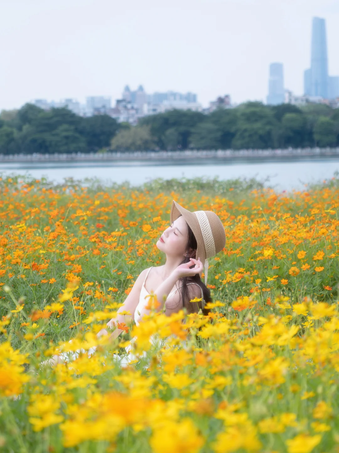 5.1广州📍小黄花&浪漫花海 地铁直达