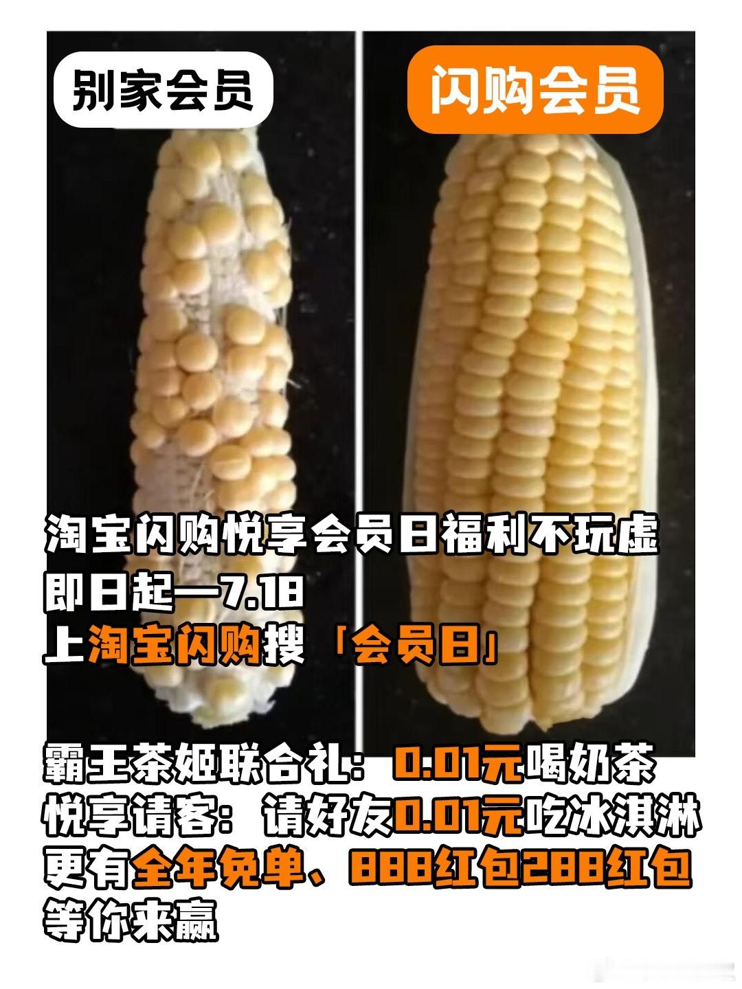 淘宝闪购会员日每月17日解锁专属权益美团会员外卖会员美团神券居家看球美食7月17