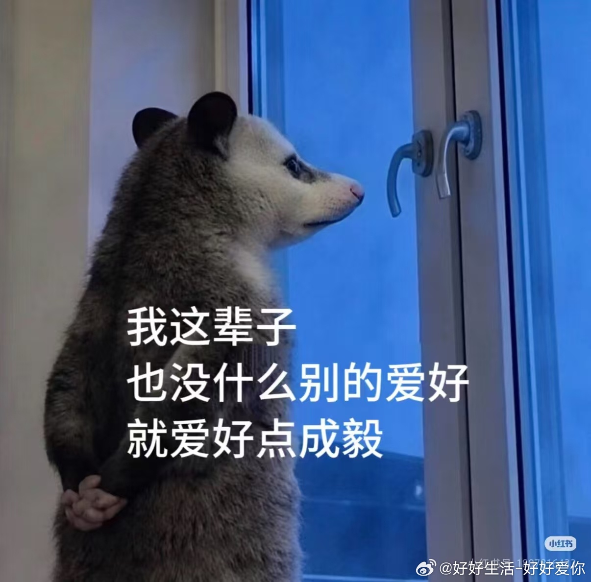 演我iejj目前的内心的状态 