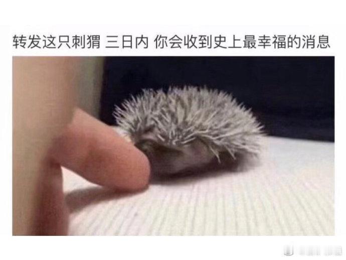 有毒！三十秒内转发有好运你的烦恼将一键清空​​​私信许愿都会实现​​​运势 ​ 