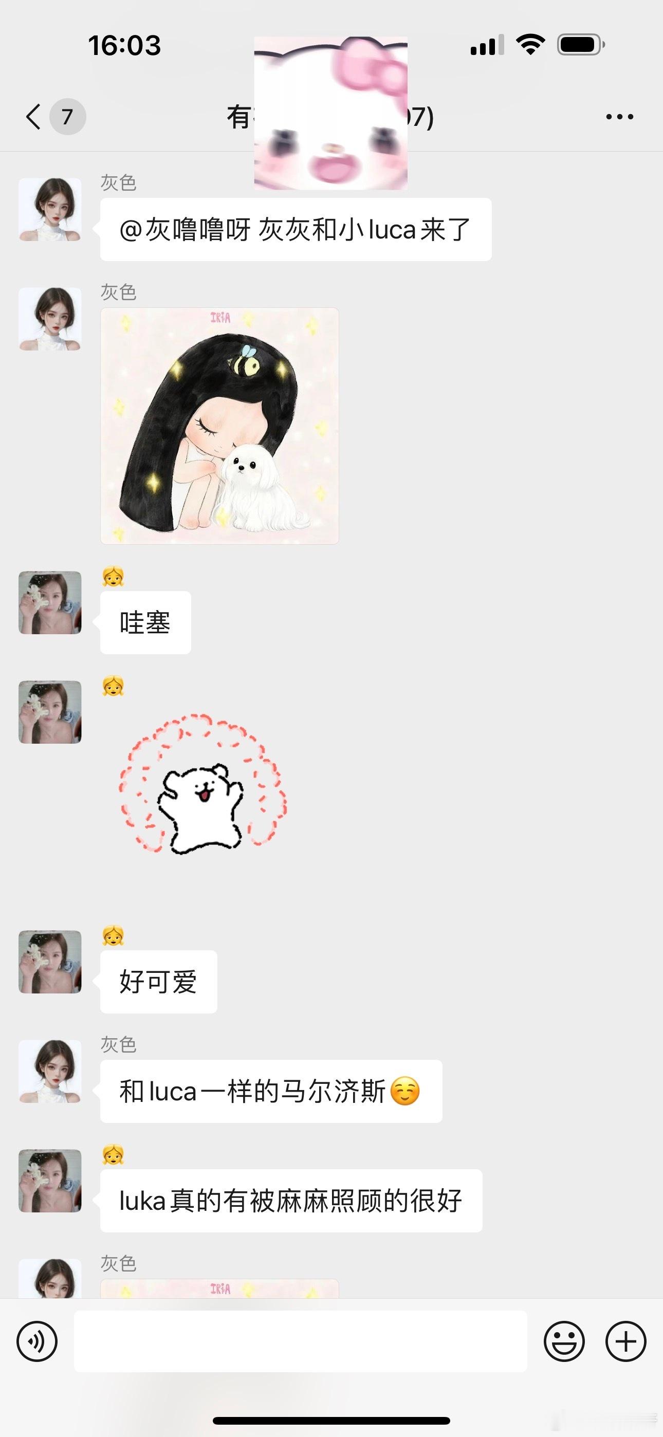 昨天还在群里说封面这张图如果作者画的是一只小狗就好了✨就像我和luka了！！今天