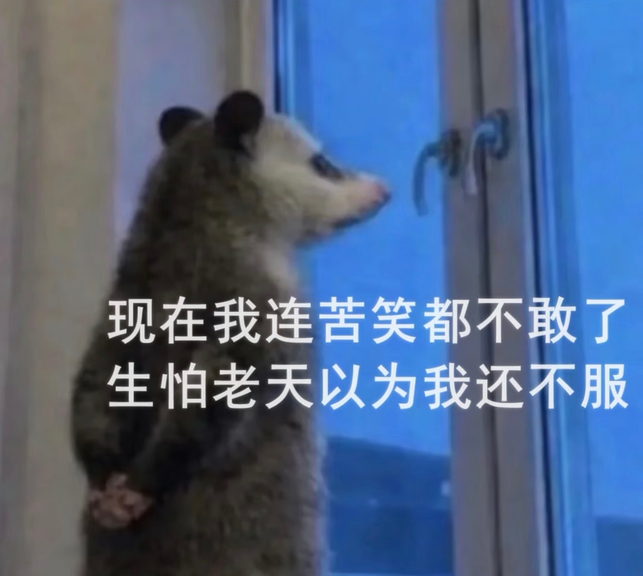 我还在那担心我的网啥啥啥的 根本就是陪跑哈哈哈 