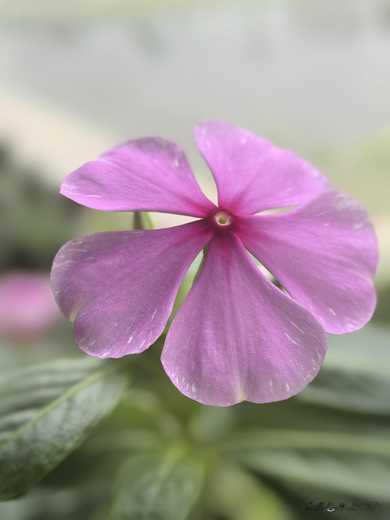 正常人的快乐大概有这些。
一是挣钱时。
二是晋升时。
三是恋爱时。
四是搬新房时