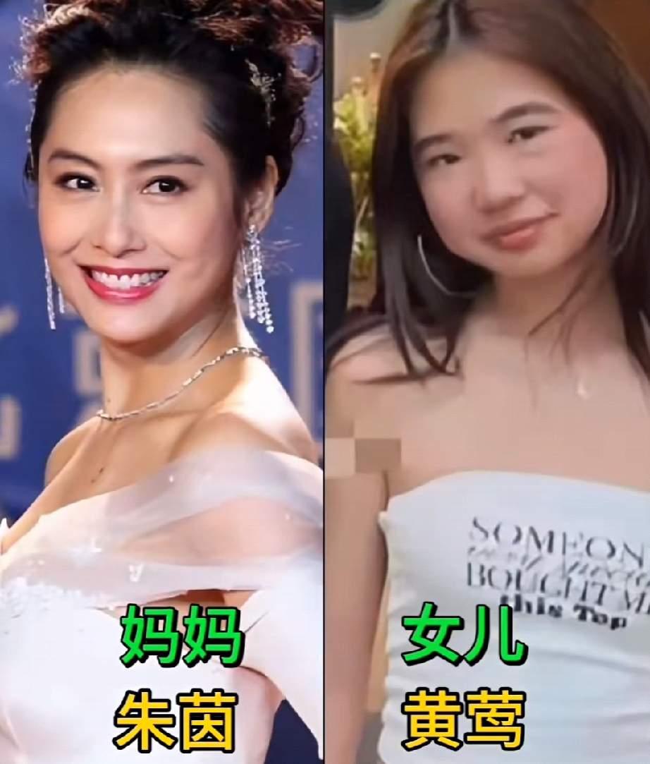 明星母子（母女）太好磕！陈飞宇完美复刻陈红绝美长相，温柔孝顺，红毯时刻守护母亲，