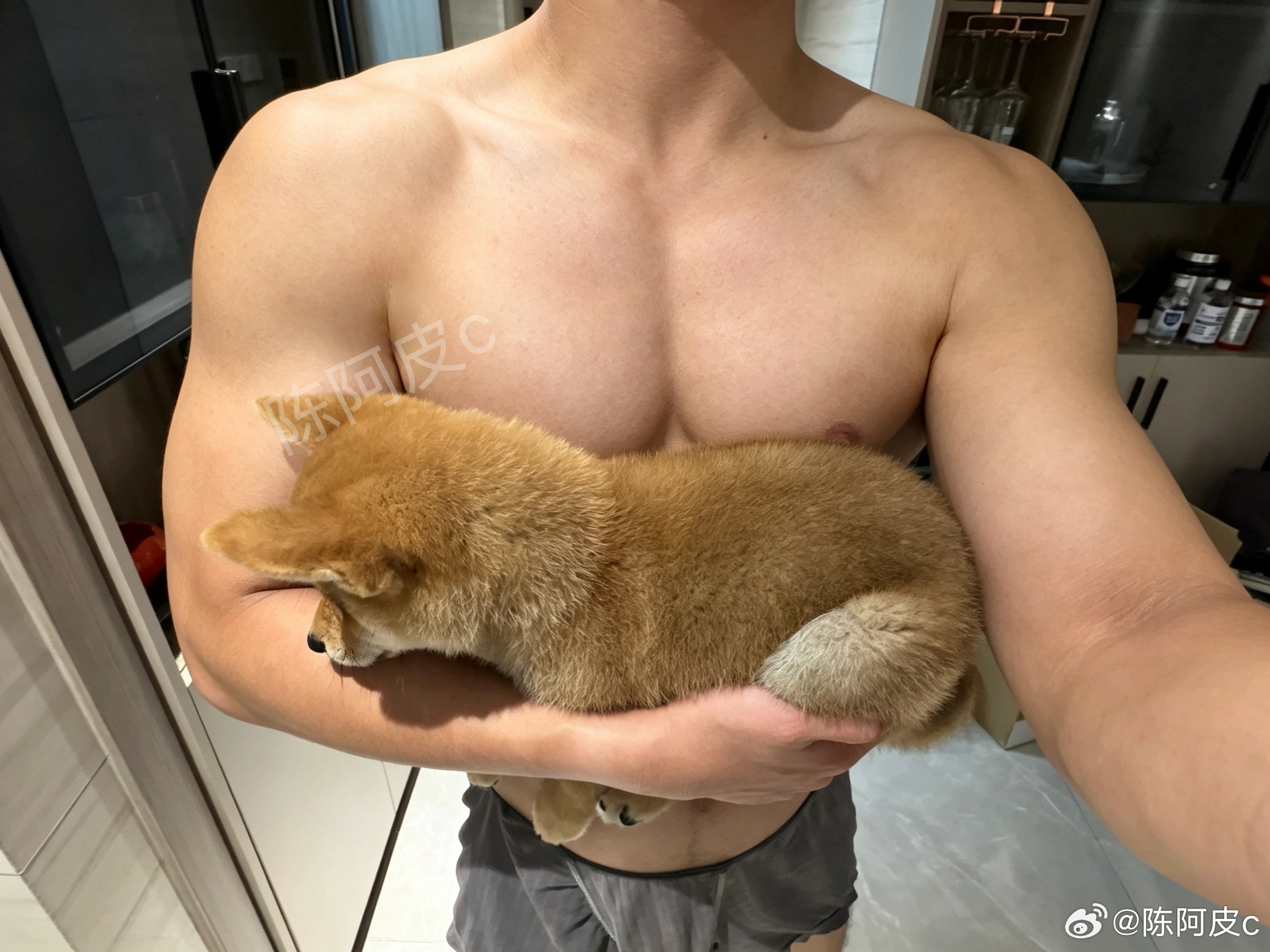 奶狗🥛 ​​​