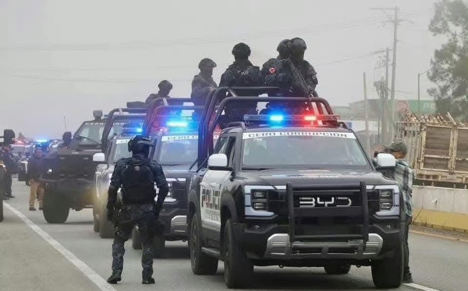 最近注意到一个蛮有意思的事。不论是刷到在匈牙利街头一辆带着警车涂装的比亚迪元PL