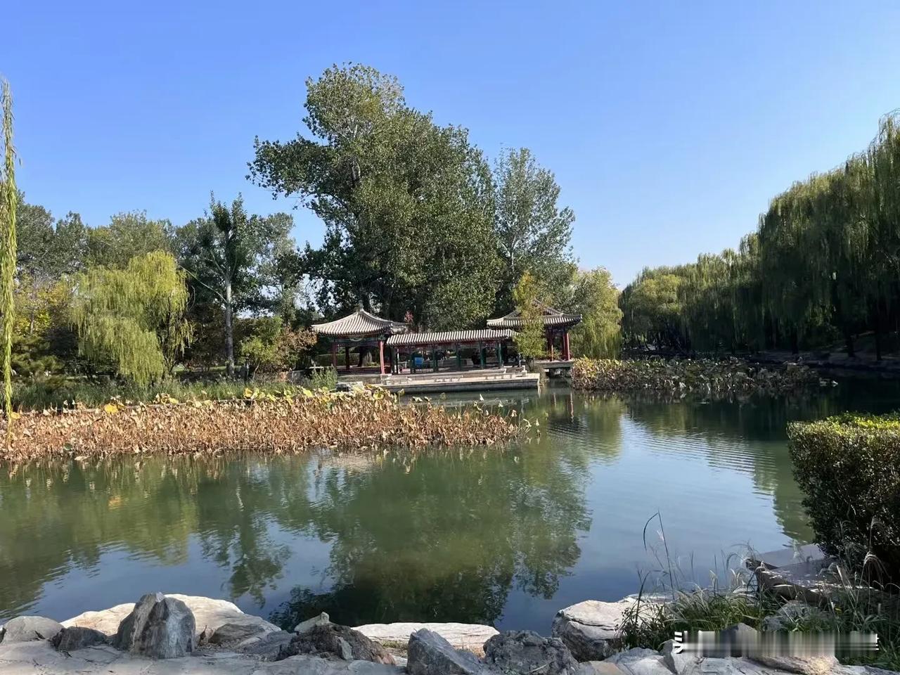 上午来清华大学转转！#北京清华园之旅#