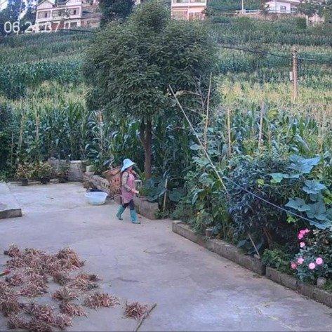 最近网上有个案子特别让人后背发凉，我得跟你唠唠。有个男的，就因为女同事没接他电话