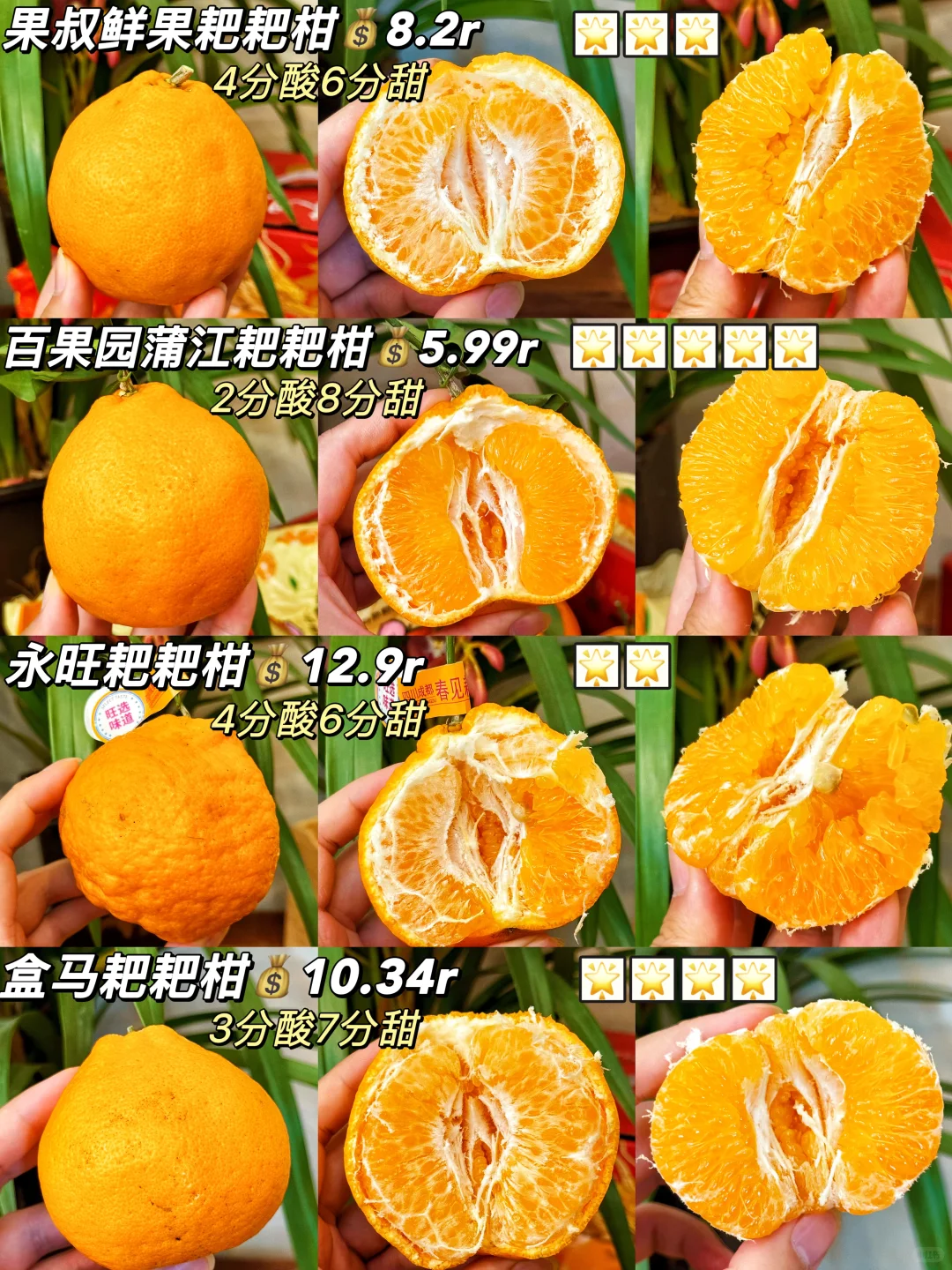 🍊亲测4家水果店耙耙柑！谁才是性价比之王？