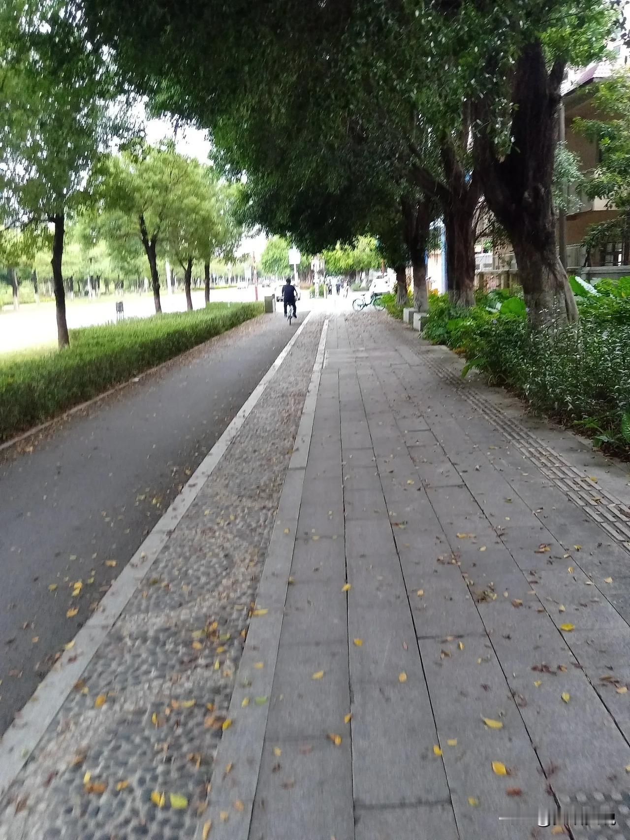 这条路，是通往安捷利电子厂的必经之路。每天上下班走两遍，早上走一遍，晚上走一遍，