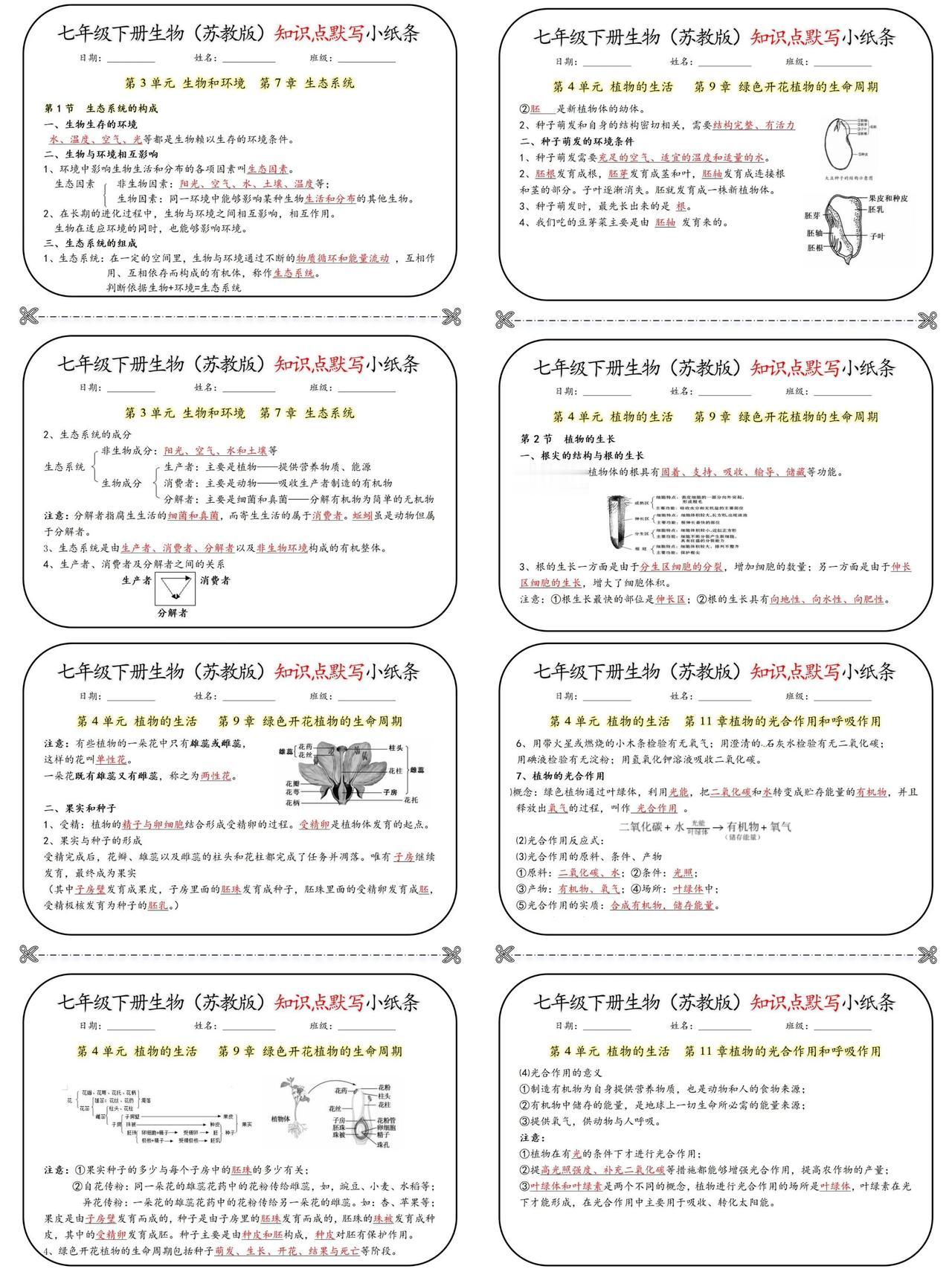 七下生物（苏教版）知识点默写小纸条🔥