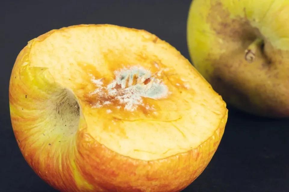 苹果烂了一块，很多人觉得削掉坏的部分就能继续吃。但真相是：最好扔掉，别心疼。
