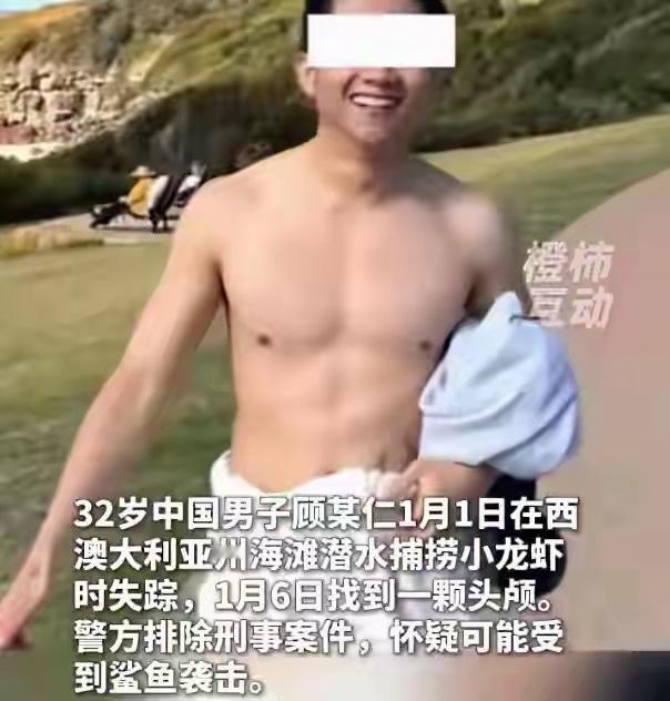 《澳洲潜水悲剧追踪：中国男子失联后仅寻得头颅，鲨鱼袭击疑云待解》

2026年1