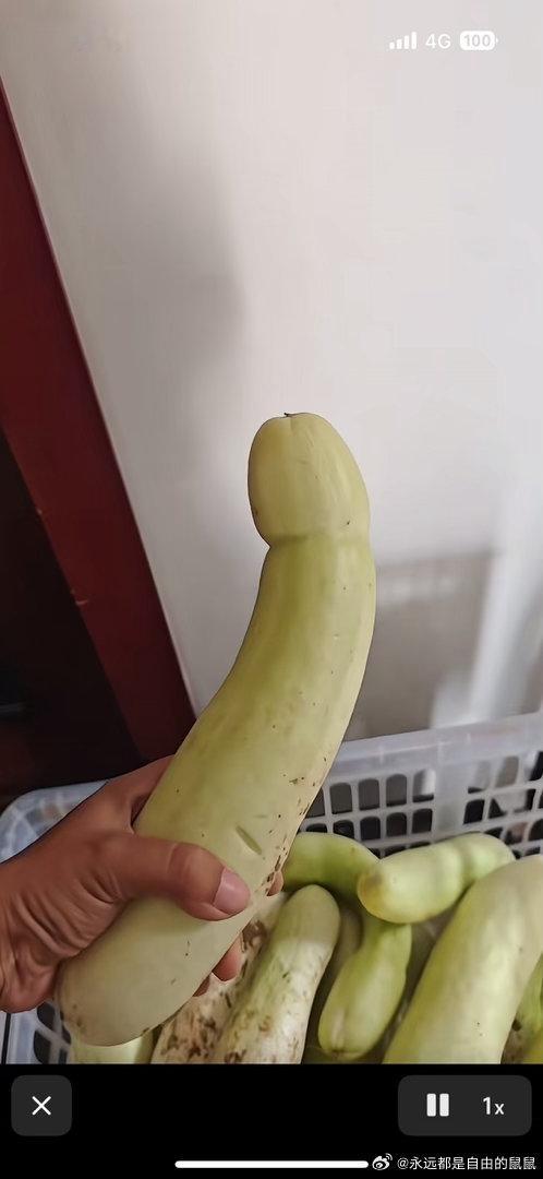 这瓜有力气 