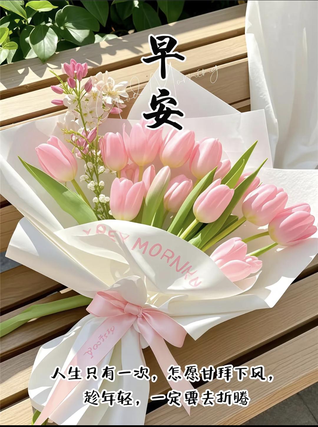 ²⁰²⁶/₀₅.₂₆ᵕ̈朋友圈文案，这一句就够了，高级又治愈，100%秒赞
🌸