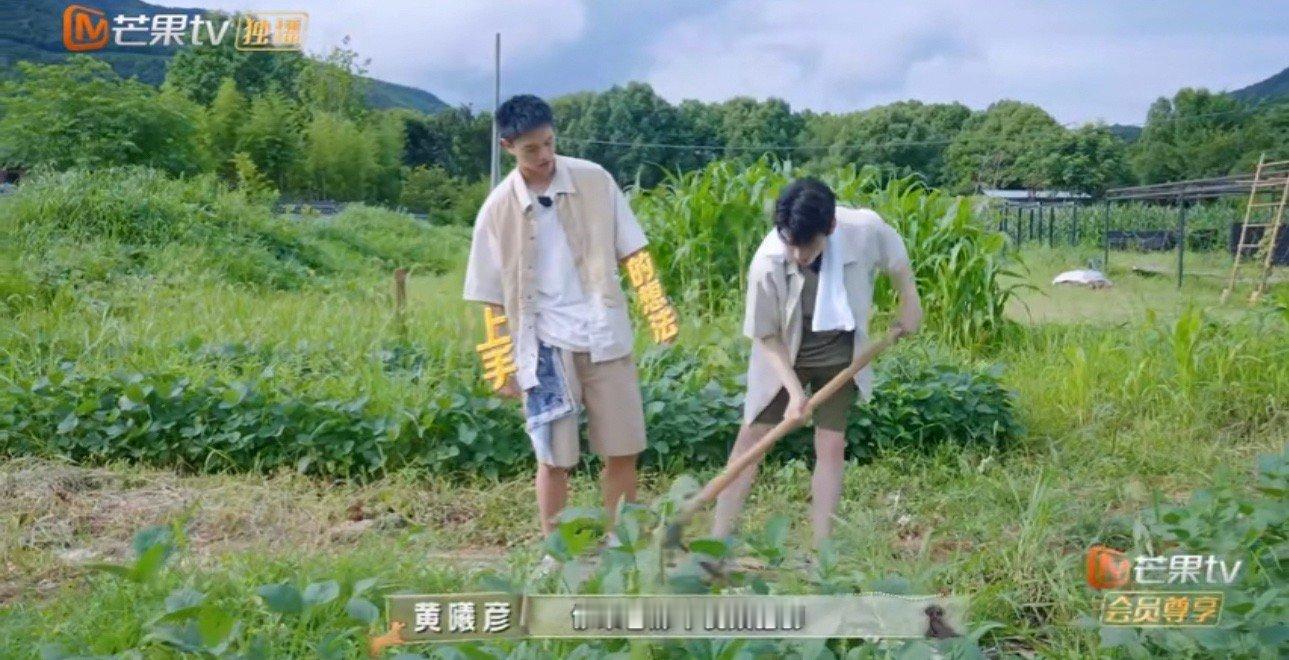 #黄曦彦眼里有活#手上有活，眼里有光的热心质子黄曦彦！这人是真能处，有活儿他真上