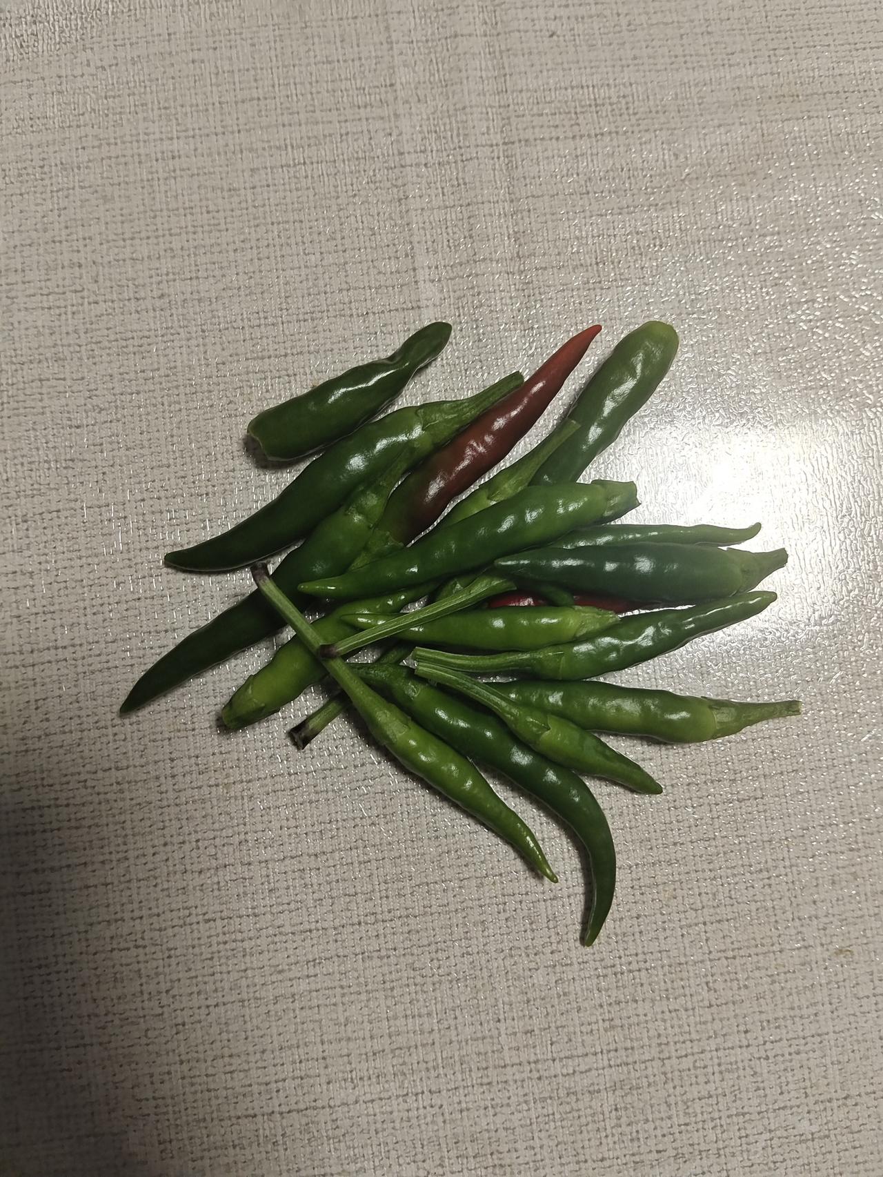 今天把阳台的辣椒都摘了，总共摘了有十五六个吧，比起上个月收获满满，感觉主要得益于