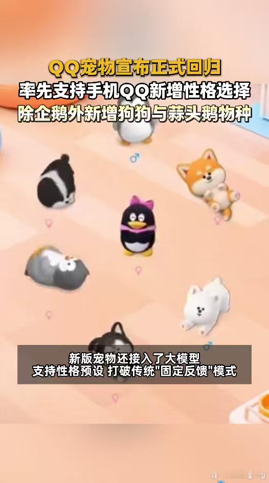 腾讯全新QQ宠物上线 日复一日被工作裹挟，偶尔点开企鹅静静待一会，不用思考繁杂琐