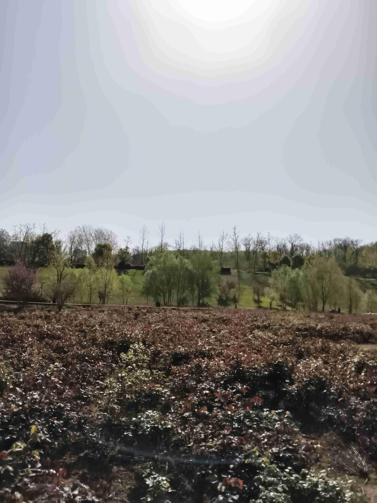 我的今日状态：😁轻松愉快
我这里的天气：☀️晴天