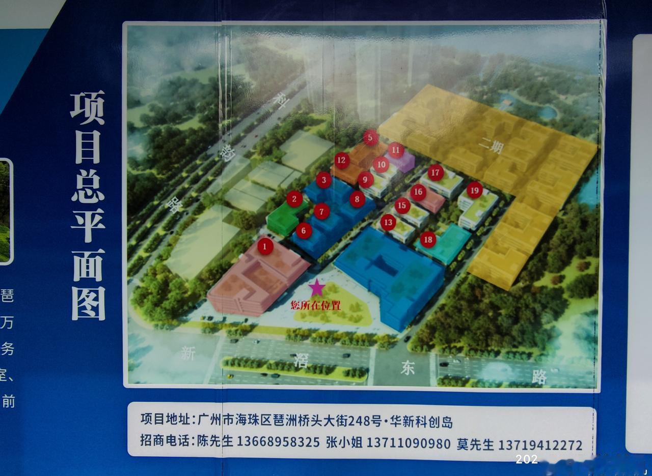 （31） ​​​ ​​​ ​​​ ​​​ ​​​