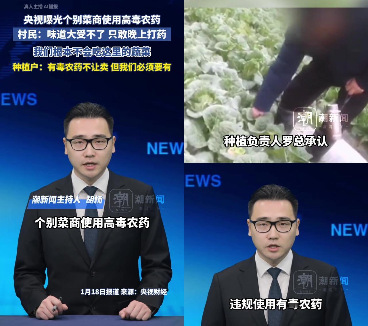 天门个别菜商用高毒农药，自己不吃却卖给武汉人？

央视刚曝光，岳口镇村民说农