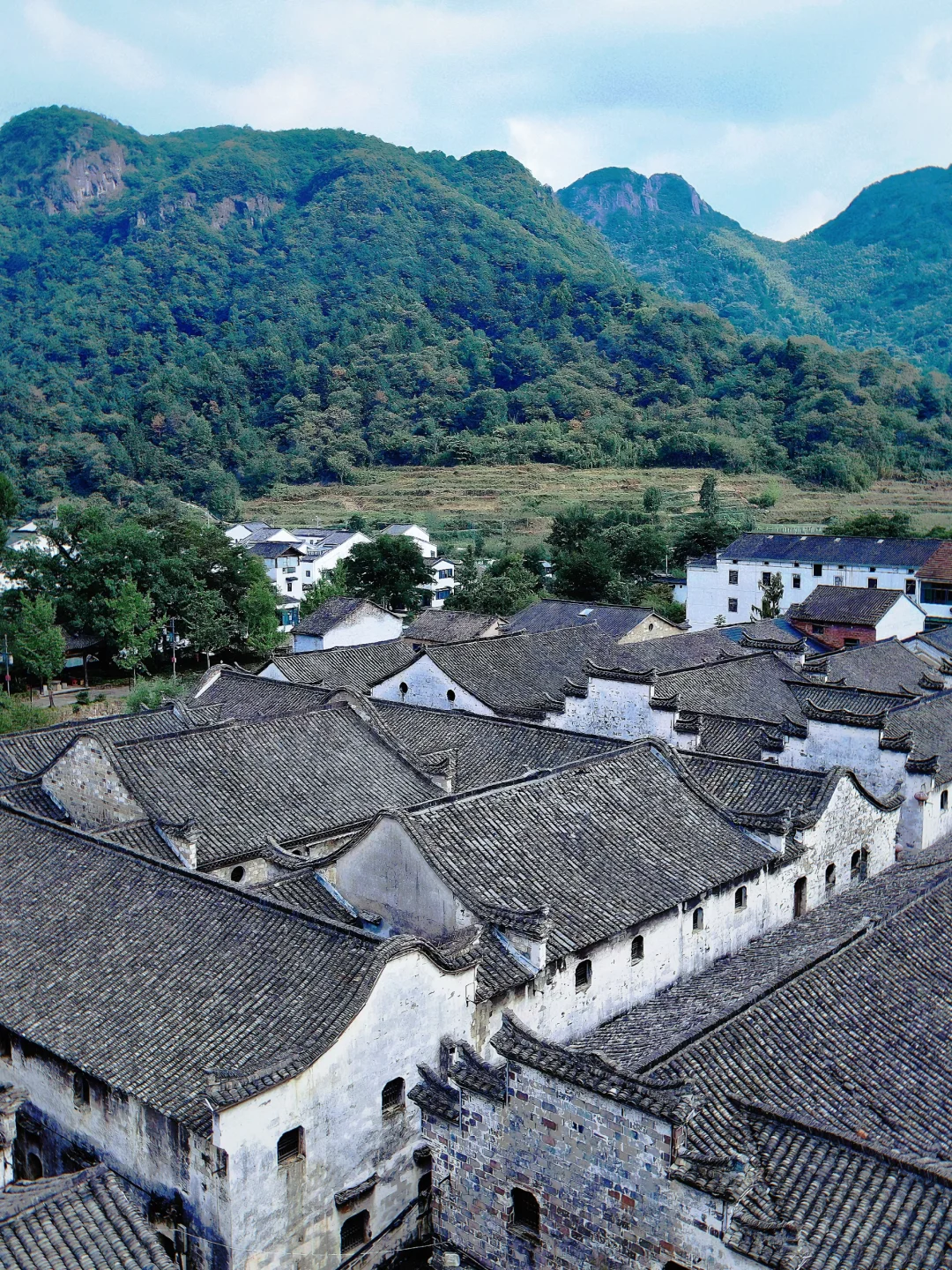 拒绝骡马假日！浦江4️⃣处满分松弛打卡地