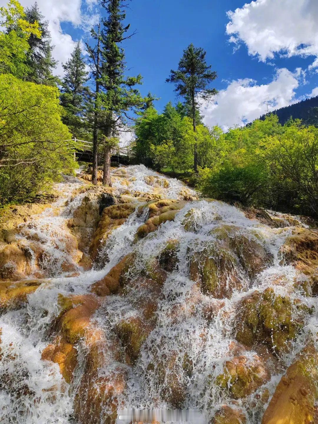 每个人都在奔赴各自不同的人生 分享着各自的风景。 ​​​