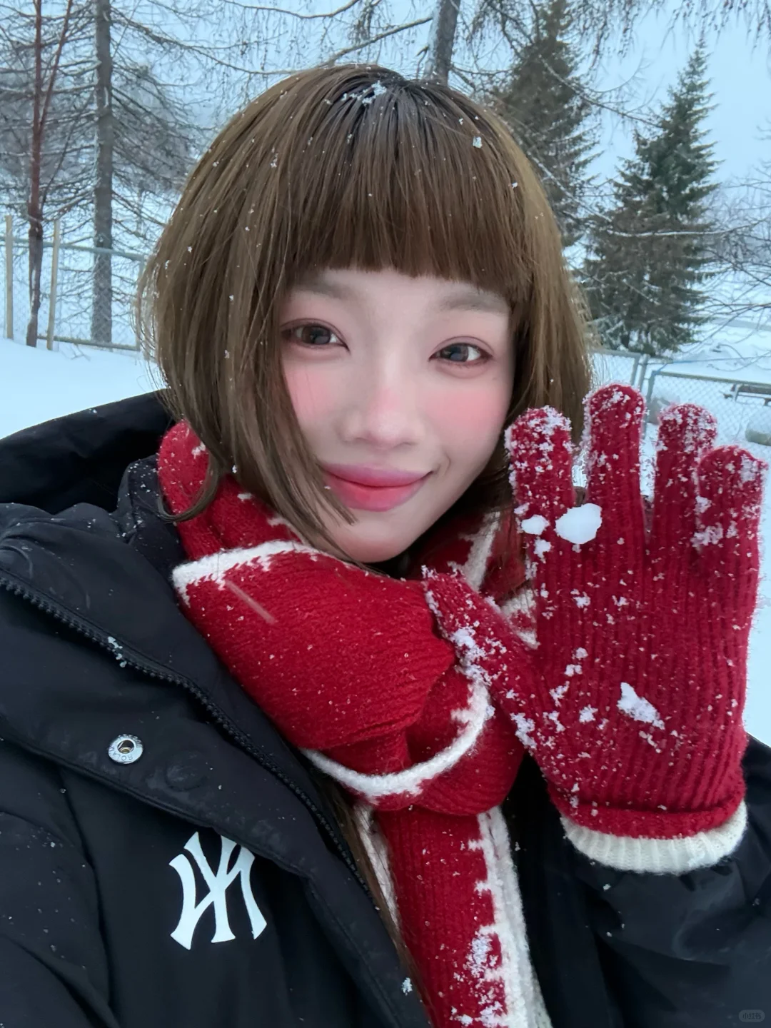 🇫🇮我的人生初雪☃︎  *･ﾟ