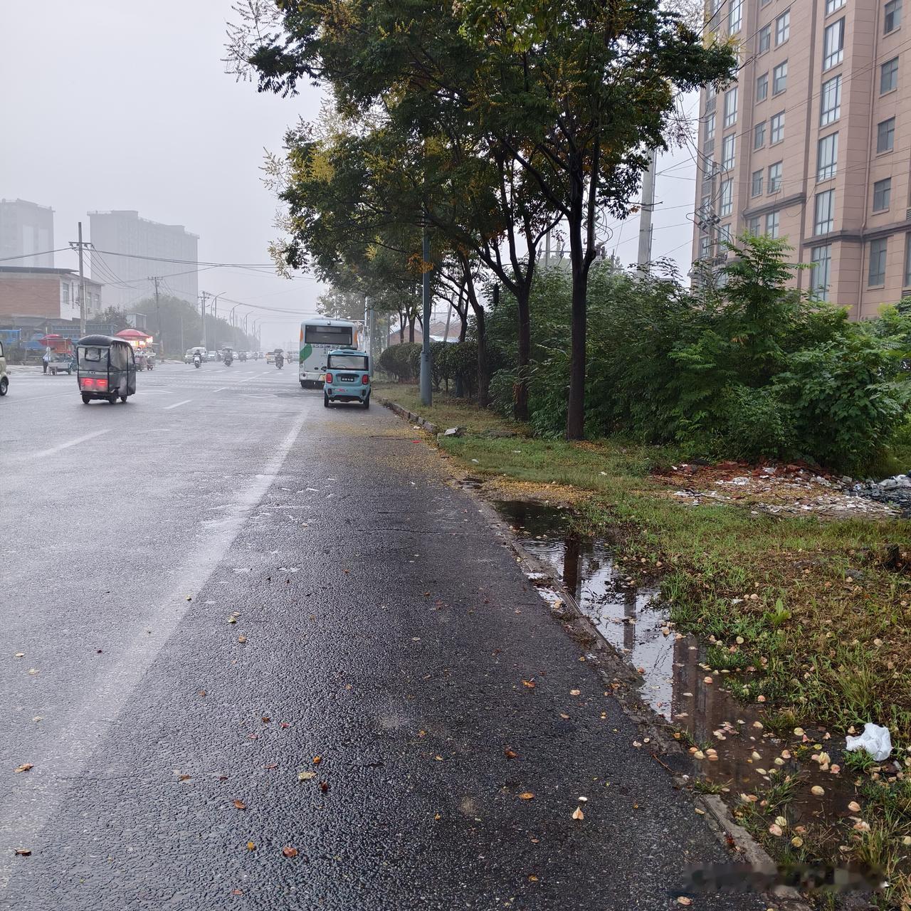 秋日渐浓，细雨绵绵，落花满地，凉从脚起。