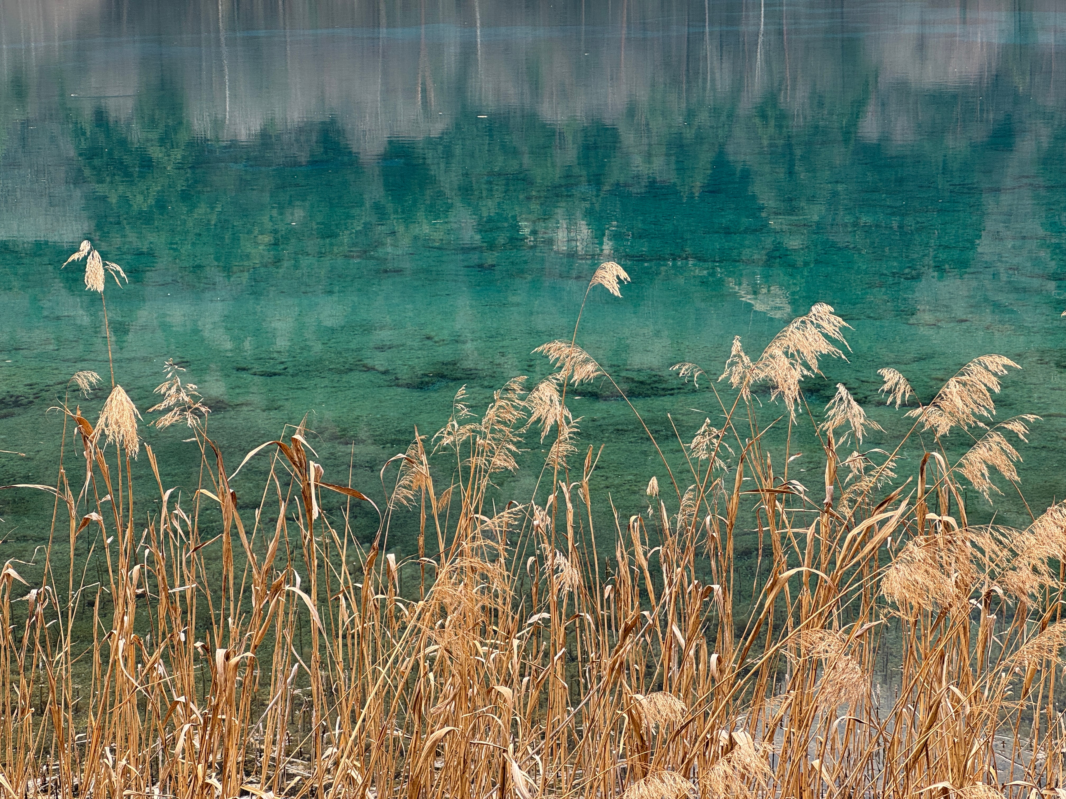 四季风景尽收眼底 