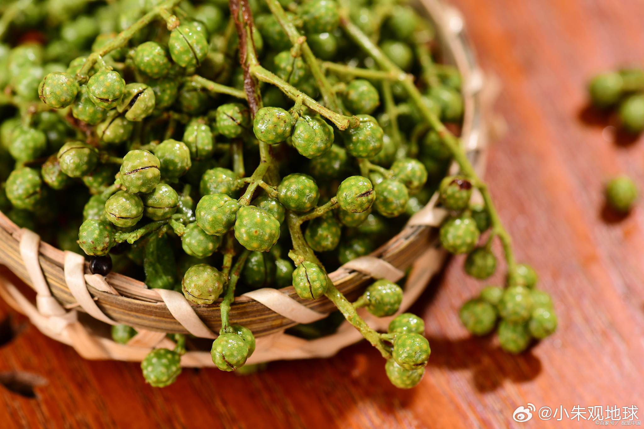 一口春鲜尽在紫燕 春回大地，慵懒的春困常使食欲受挫，厚重油腻更叫人退避三舍，而鲜