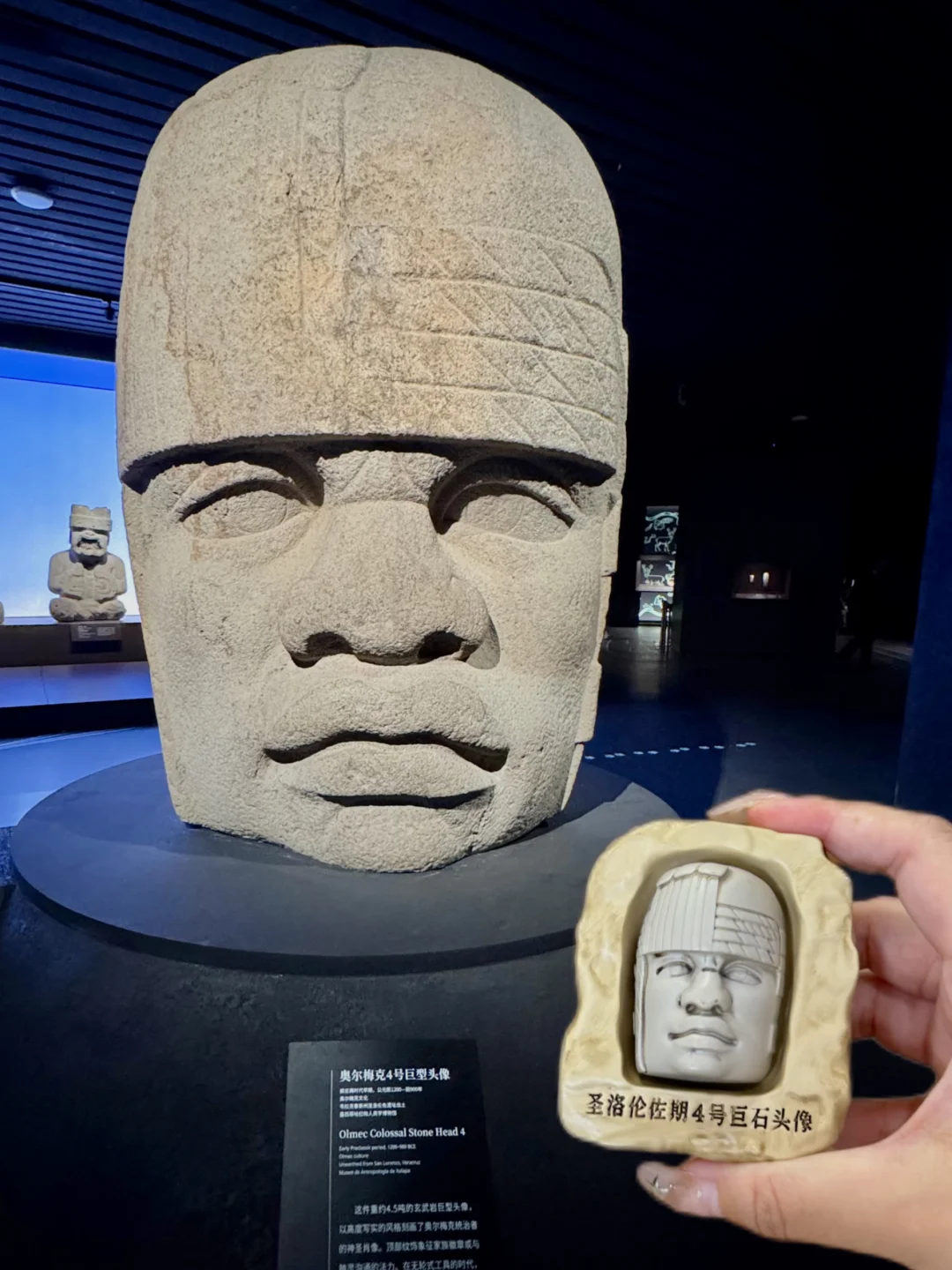 上博美洲展🪨坠值得买的周边…