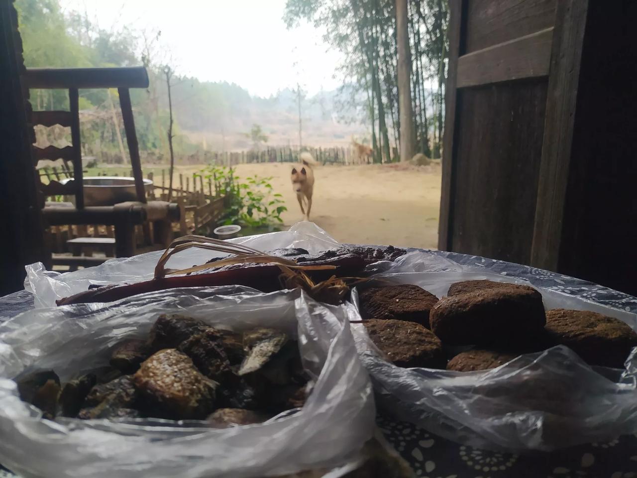 南方的农村真的是一个巨大的能量场

哪怕是在万物萧瑟的冬季，南方的农村也处处透着