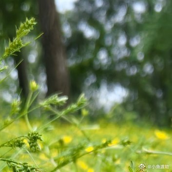 你有没有一种感觉——身边的人很多，但没有人真正认识你。他们认识的是你的职业，你的